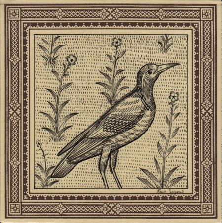 A Mughal Bird | Ravi Zupa